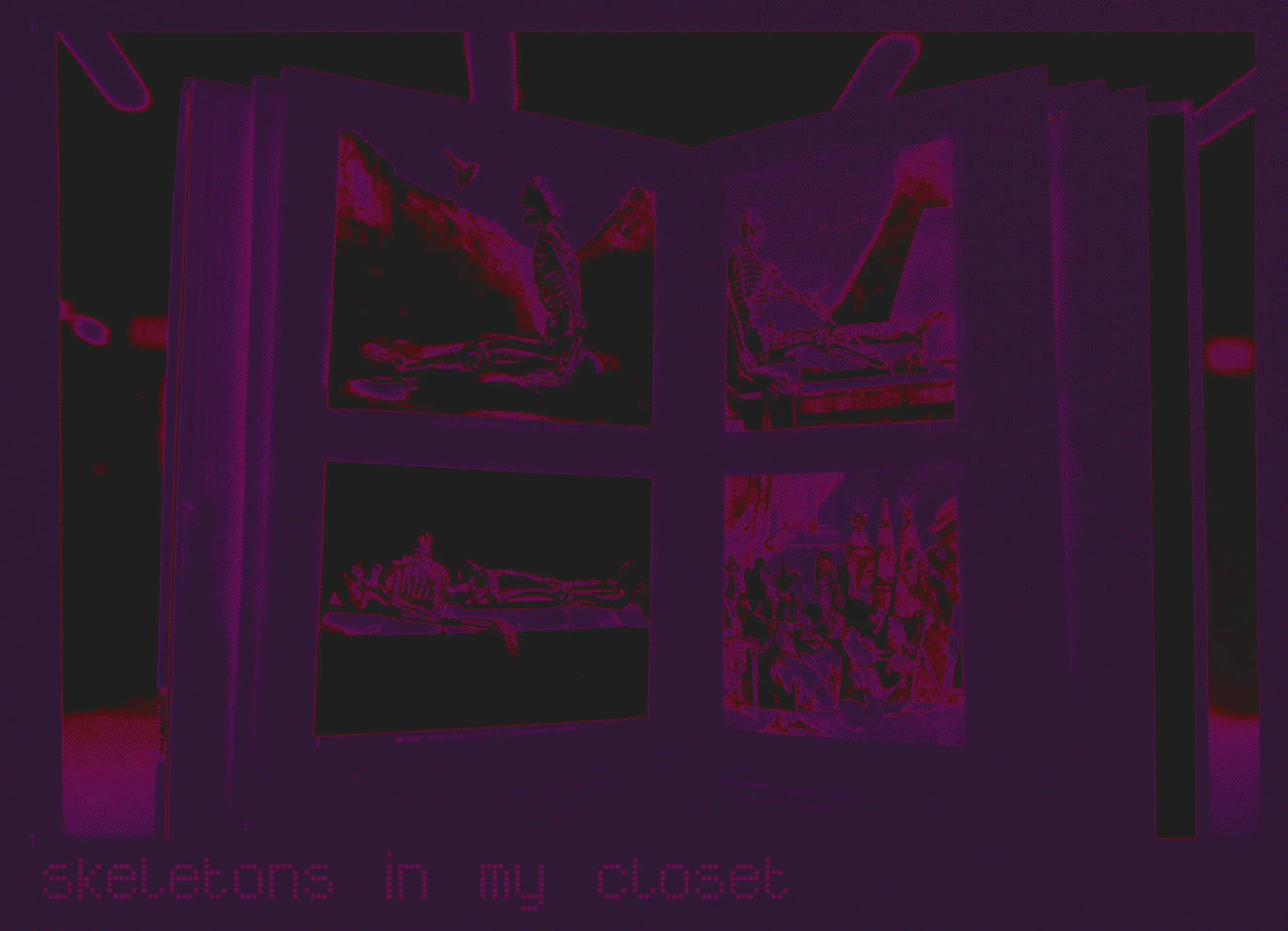 skeletons in my closet